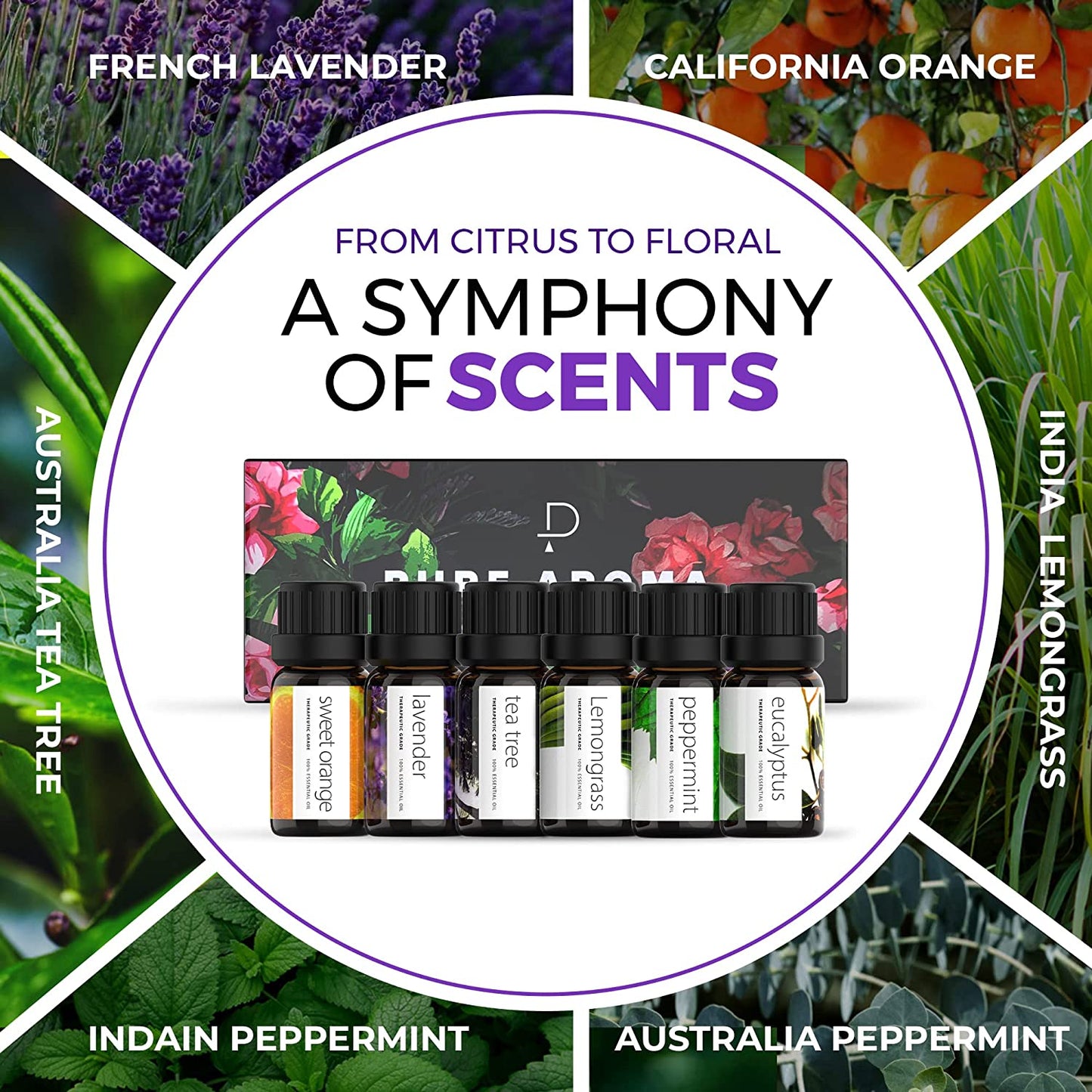 Essential Oils Set - Top 6 Aromatherapy Oils Gift Set for Diffusers, Home Care, Candel Making Scents, Fragrance -Eucalyptus, Lavender, Lemongrass, Sweet Orange, Peppermint, Tea Tree (10Ml)