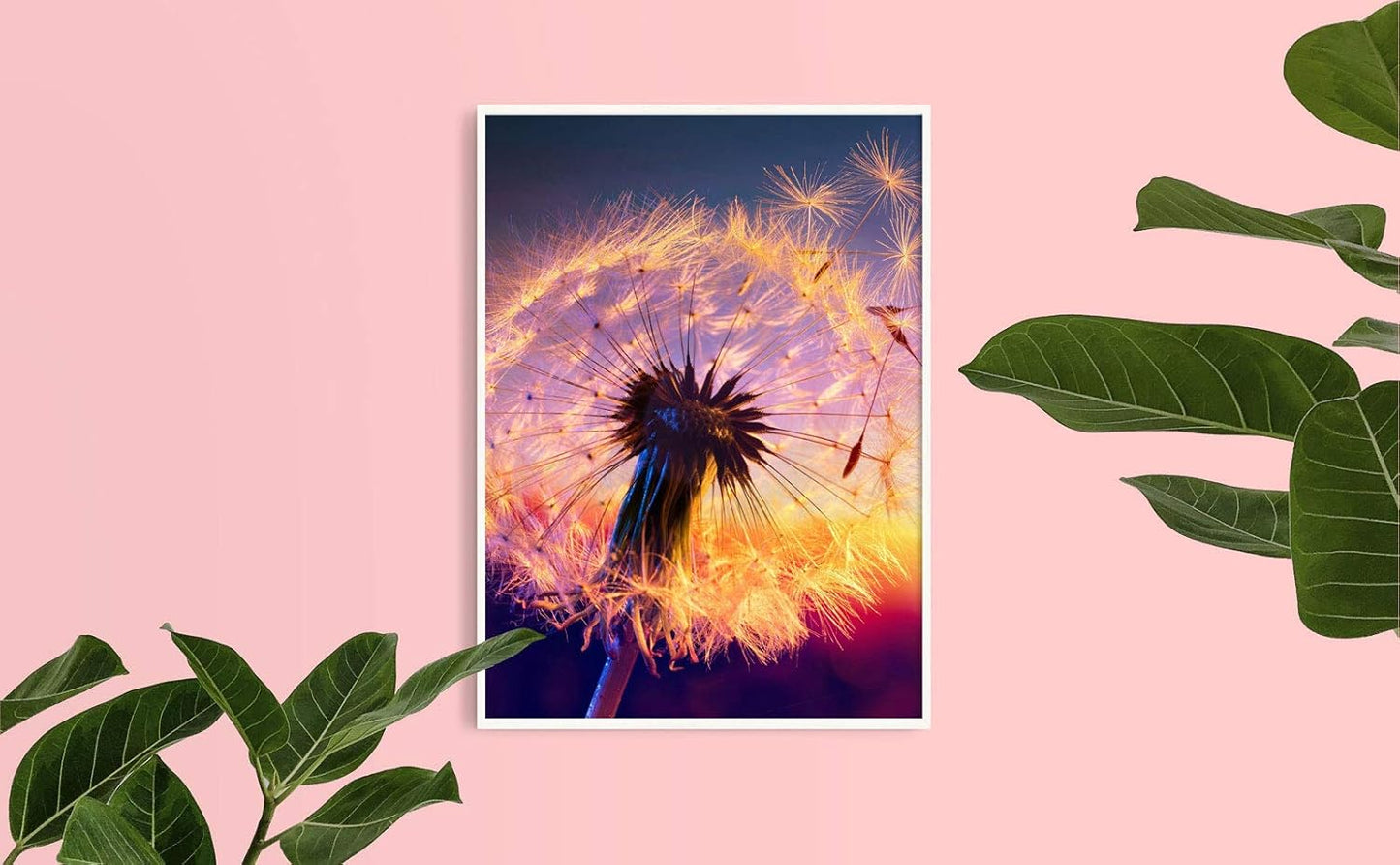 16X20 Inch Diamond Painting Kits for Adults, round Full Drill Diamond Painting Art Home Wall Decor Relaxation Gift, Dandelions