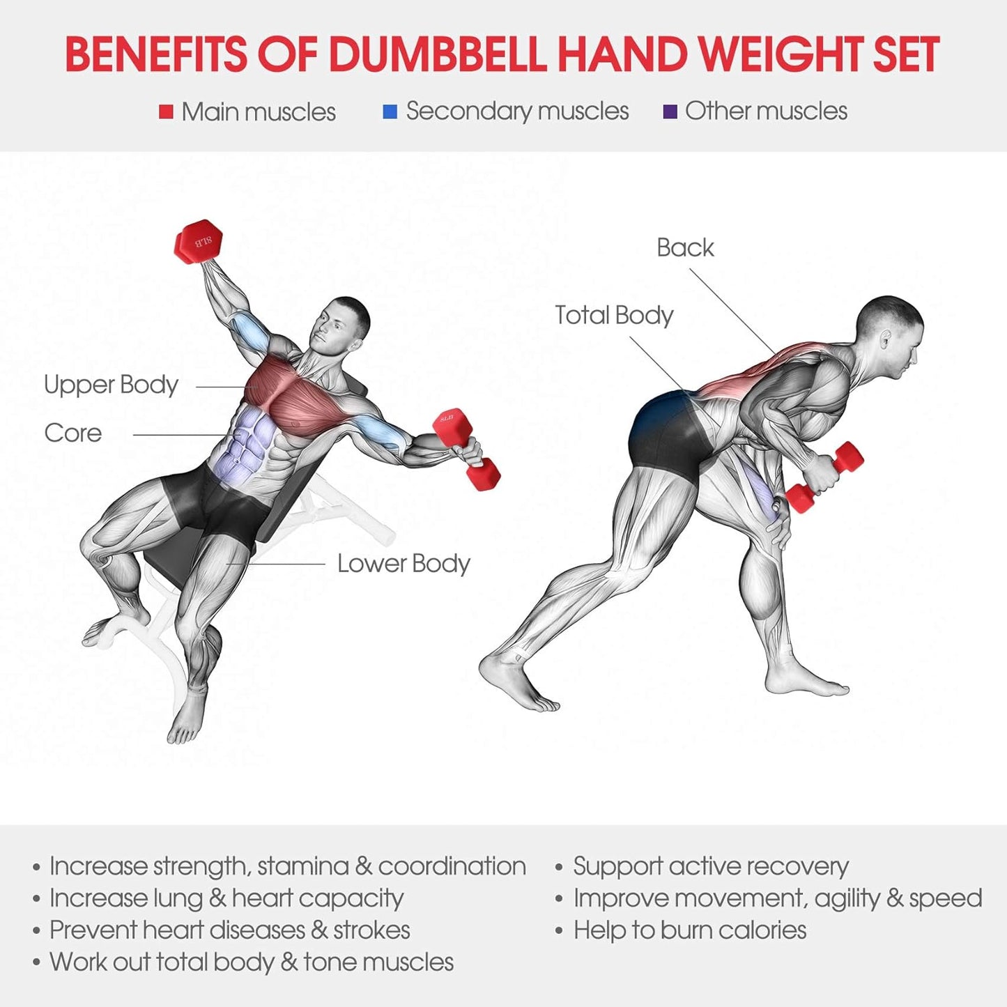 Dumbbell Set, 2Lb 3Lb 5Lb 8Lb 10Lb 15Lb 20Lb Neoprene Iron Dumbbells Hand Weight Set Barbell Exercise Fitness Hex Dumb Bell Free Weight Dumbbell Fo Women Men Home Gym Workout Strength Training