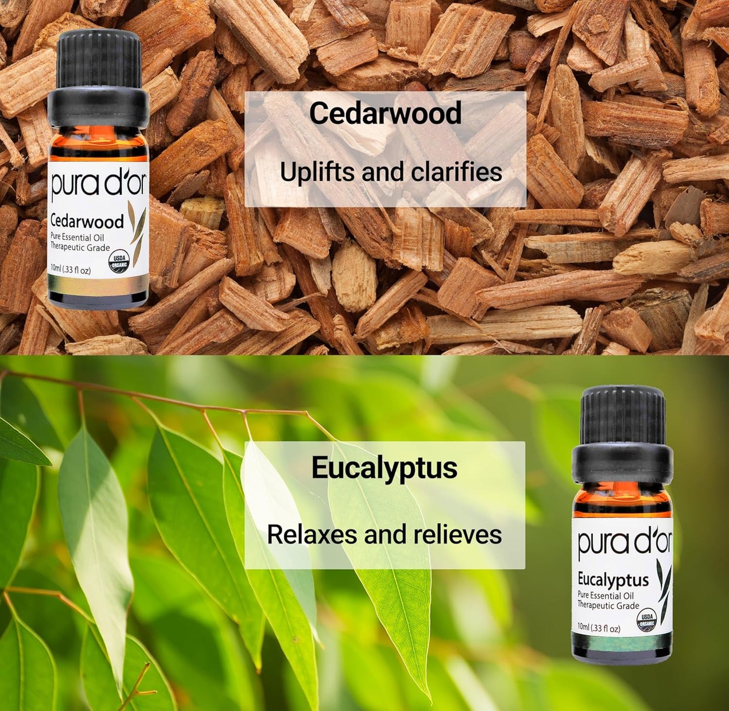 Organic Perfect10 Essential Oils Set - 10X 10Ml Wood Box Aromatherapy Gift Set - 100% Pure Therapeutic Grade for Relaxation and Wellness (Lavender, Peppermint, Eucalyptus, Tea Tree & More)