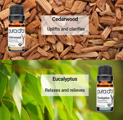 Organic Perfect10 Essential Oils Set - 10X 10Ml Wood Box Aromatherapy Gift Set - 100% Pure Therapeutic Grade for Relaxation and Wellness (Lavender, Peppermint, Eucalyptus, Tea Tree & More)
