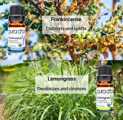 Organic Perfect10 Essential Oils Set - 10X 10Ml Wood Box Aromatherapy Gift Set - 100% Pure Therapeutic Grade for Relaxation and Wellness (Lavender, Peppermint, Eucalyptus, Tea Tree & More)