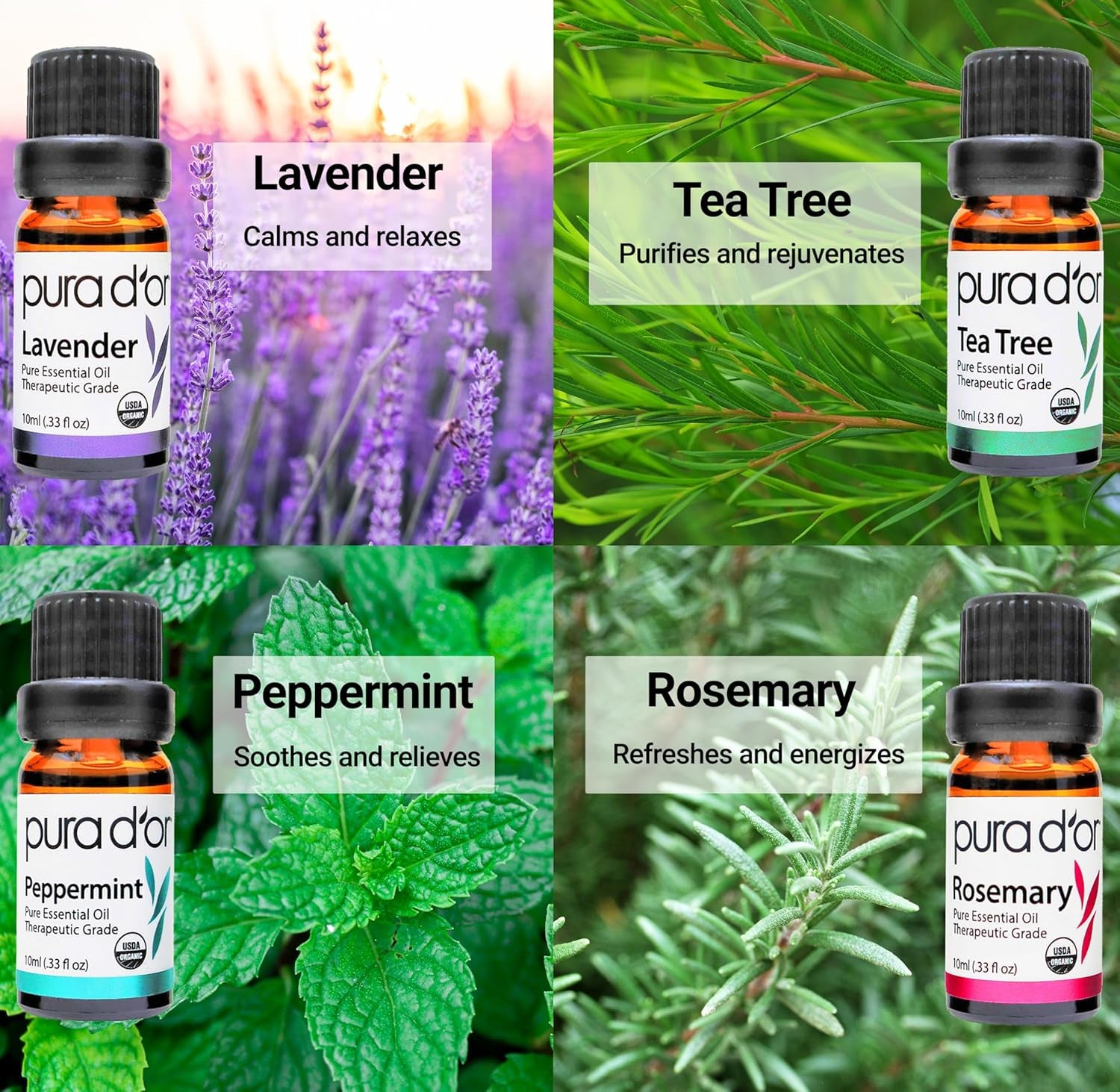 Organic Perfect10 Essential Oils Set - 10X 10Ml Wood Box Aromatherapy Gift Set - 100% Pure Therapeutic Grade for Relaxation and Wellness (Lavender, Peppermint, Eucalyptus, Tea Tree & More)